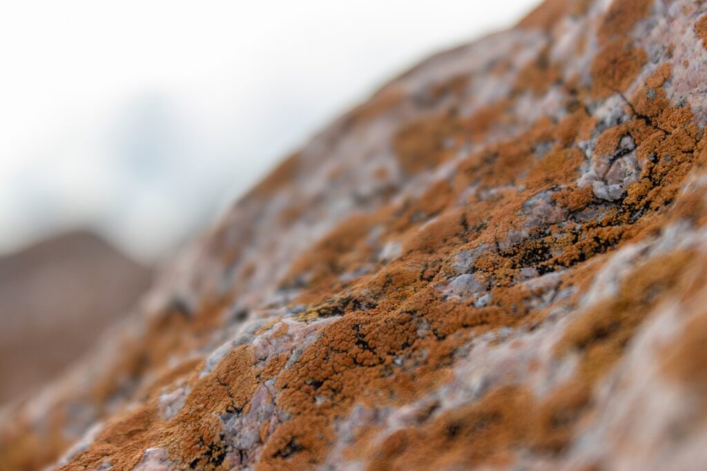 which trends affect igaming etrstech