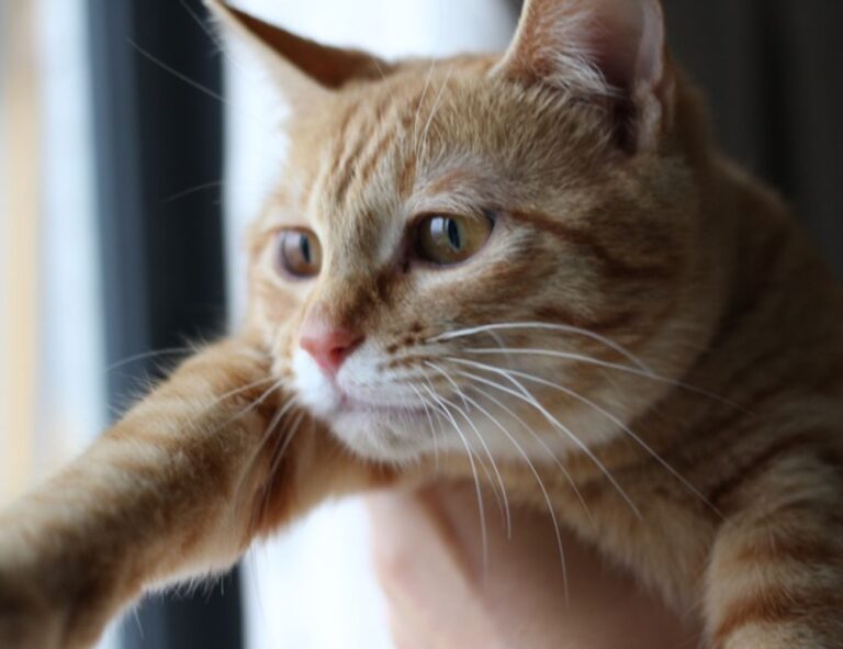 aggr8tech technology updates by aggreg8