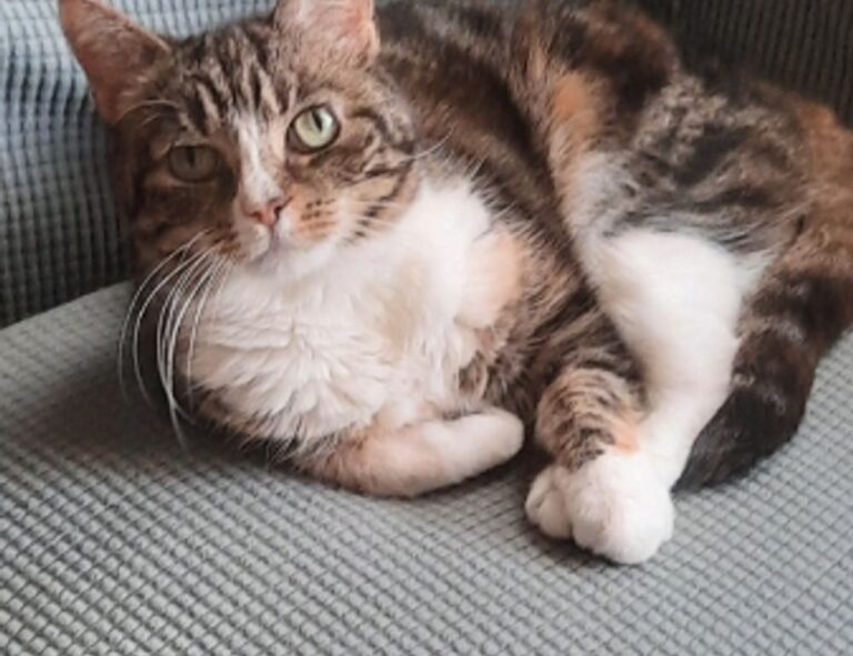 best code advice buzzardcoding