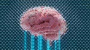 brain-computer interfaces