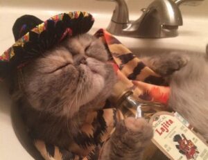 gfxdigitational tech news by gfxmaker