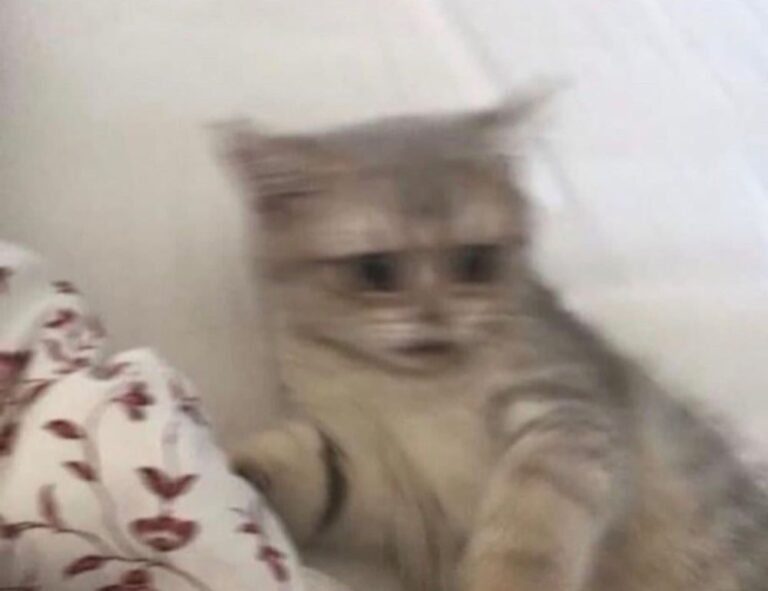 gfxrobotection ai software by gfxmaker