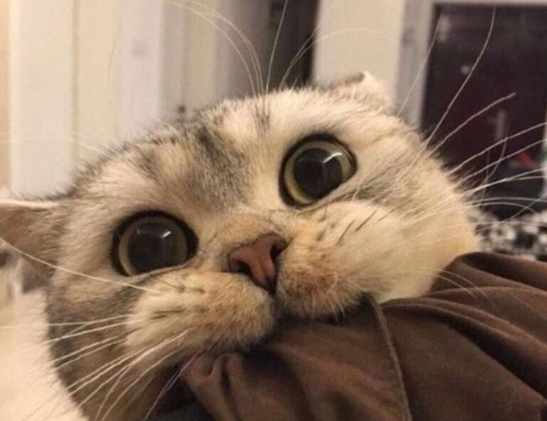 how to design a poster graphic design gfxdigitational