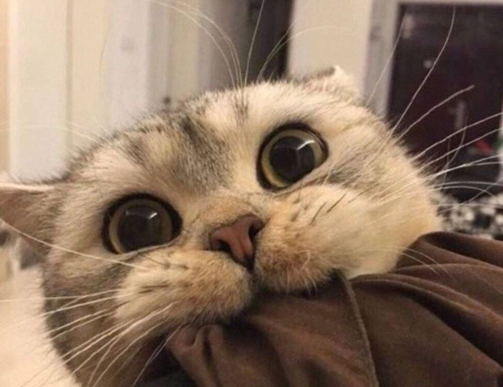 how to design a poster graphic design gfxdigitational