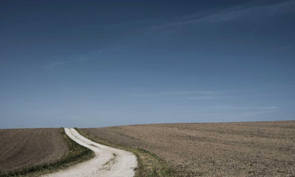 latest updates buzzardcoding