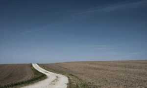 latest updates buzzardcoding