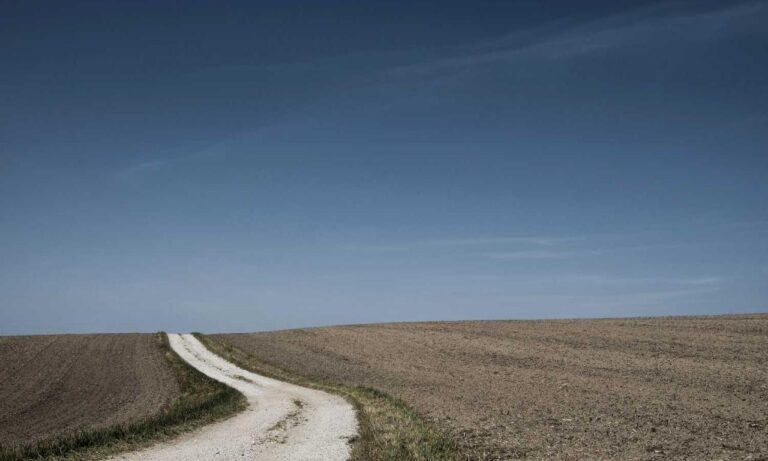 latest updates buzzardcoding