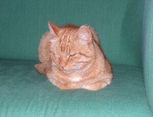 news gfxdigitational