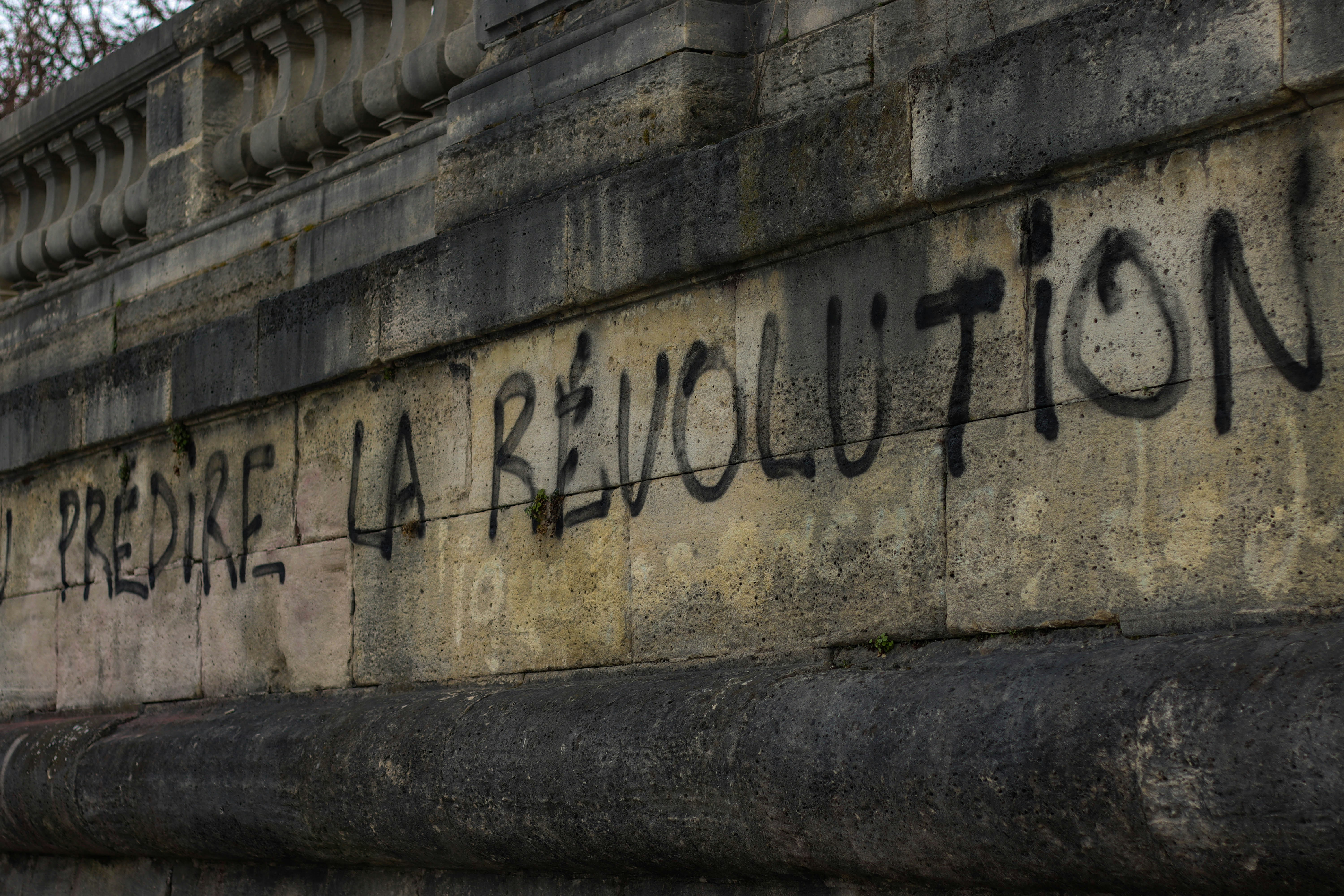 svelte revolution