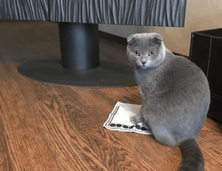 tech news gfxdigitational