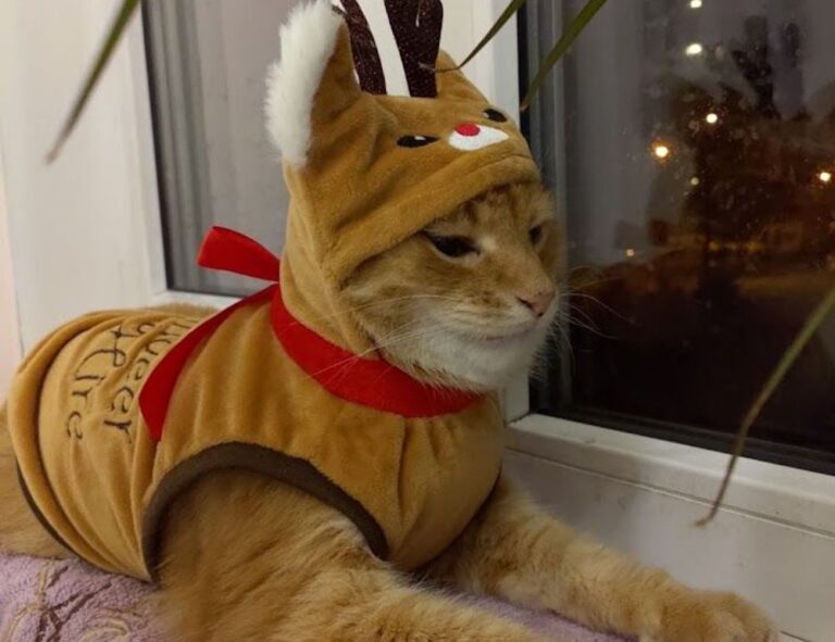 what are graphic design jobs gfxdigitational