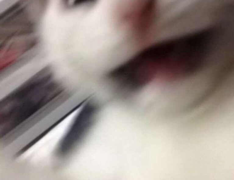 what are smart guides in photoshop gfxprojectality