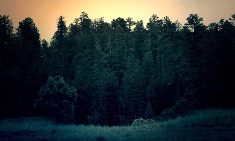 which ipad should i buy for digital art gfxrobotection