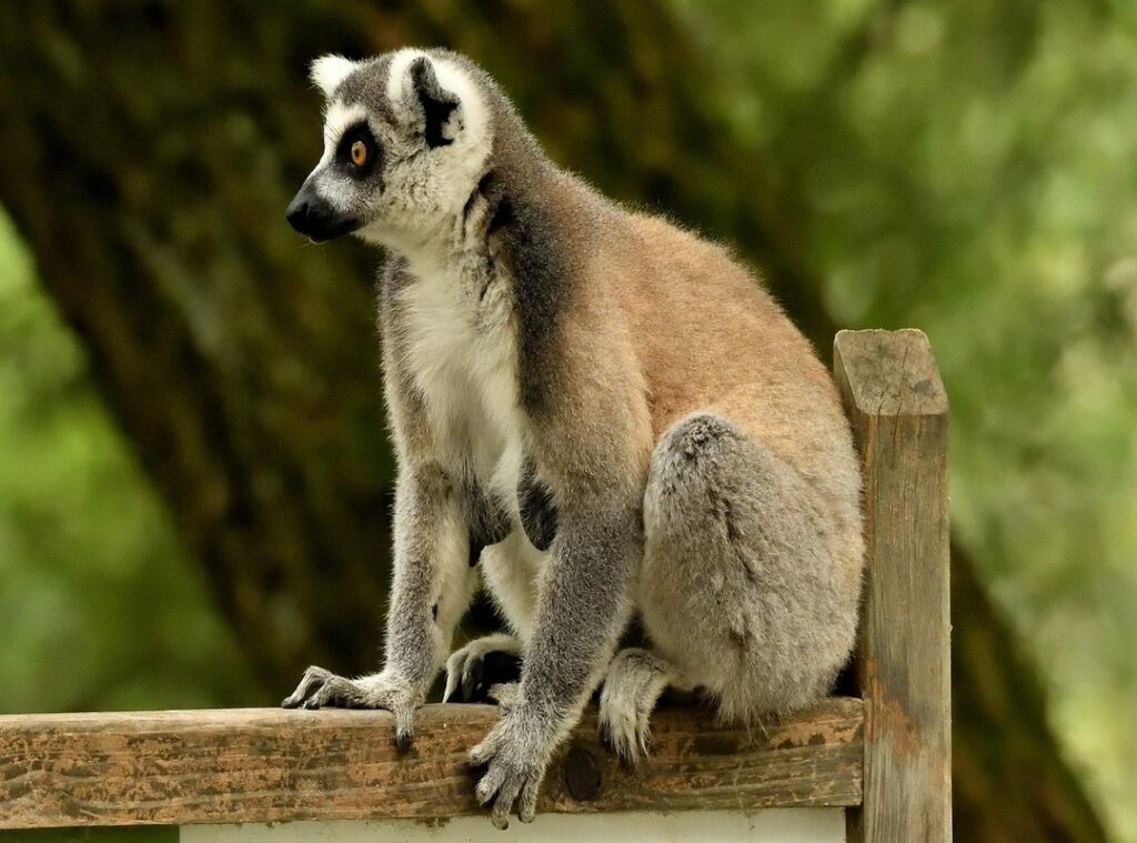 katas full movie 2024