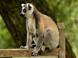 katas full movie 2024