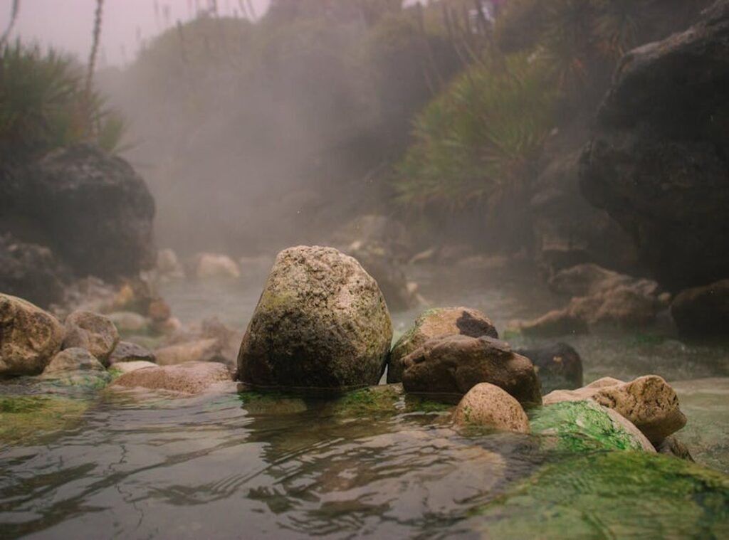 lagertha actriz cuerpo