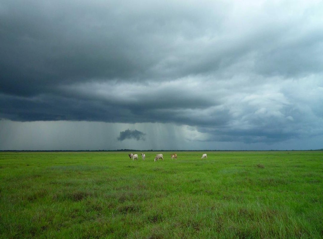 Practical Example: Converting 700 Soles to Chilean Pesos