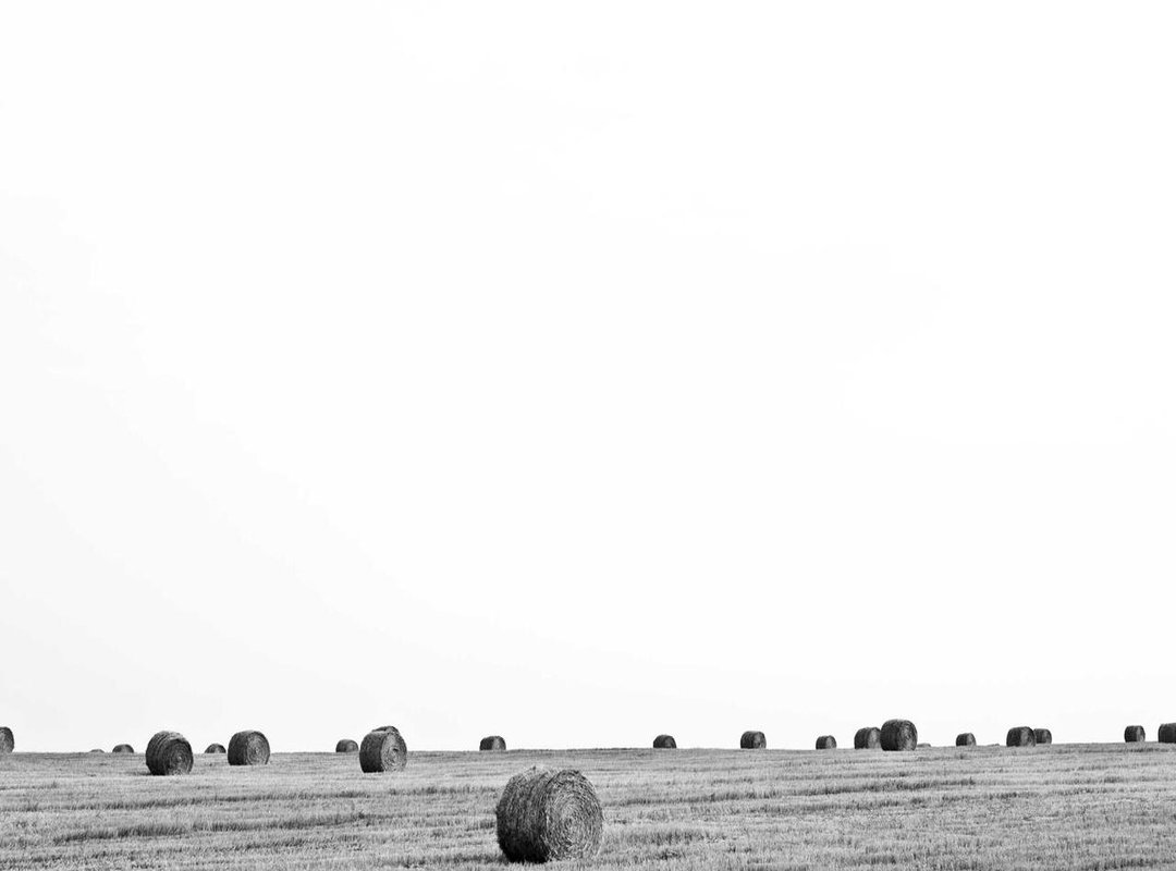 Beyond the Scoreboard: Stars, Strategies, and Defining Moments