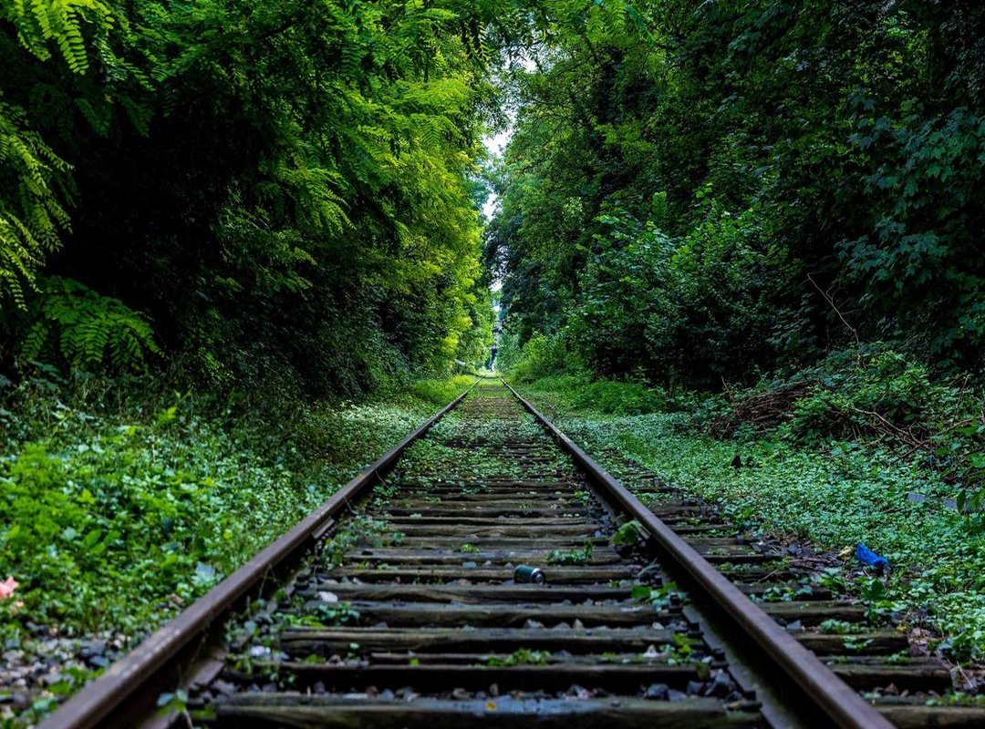 Building a Legacy: The Swansinger Construction Company's Impact