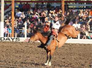 bucking hips meaning