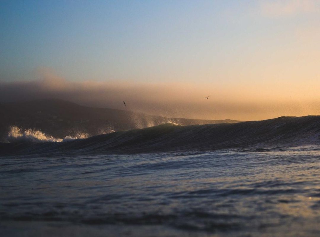 From Viewer to Creator: Making a Custom GIF for Alex