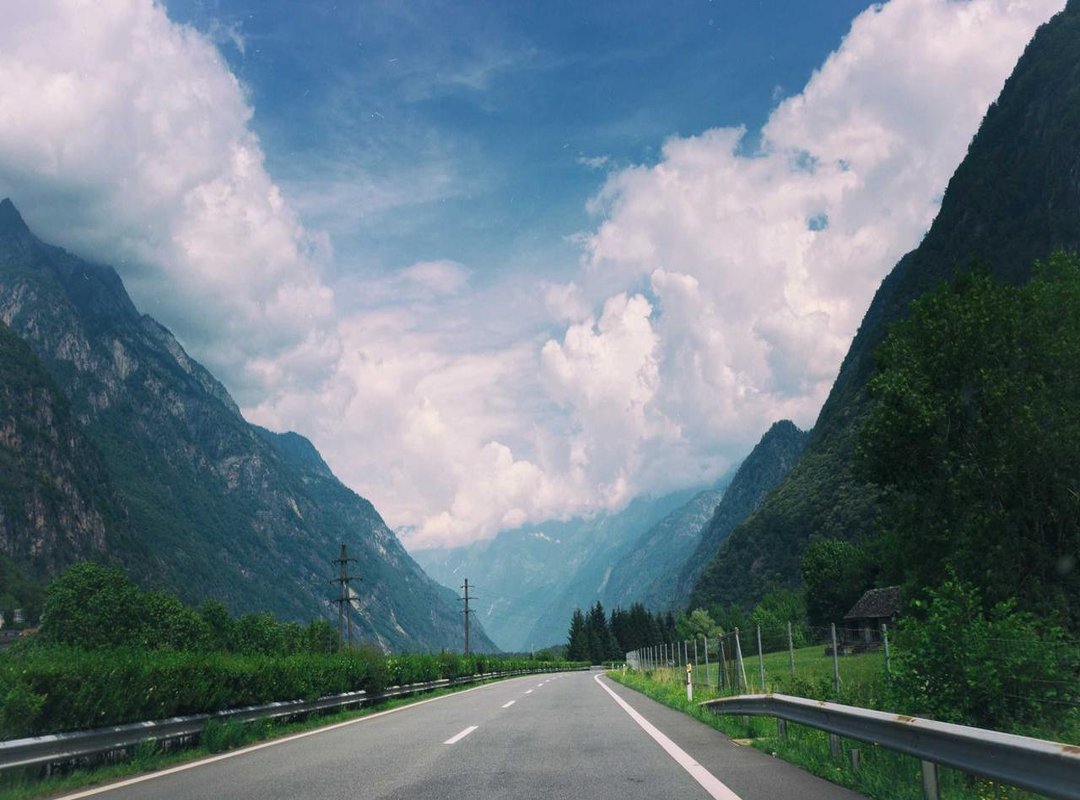 Official Sources vs. Void Scans: A Head-to-Head Comparison