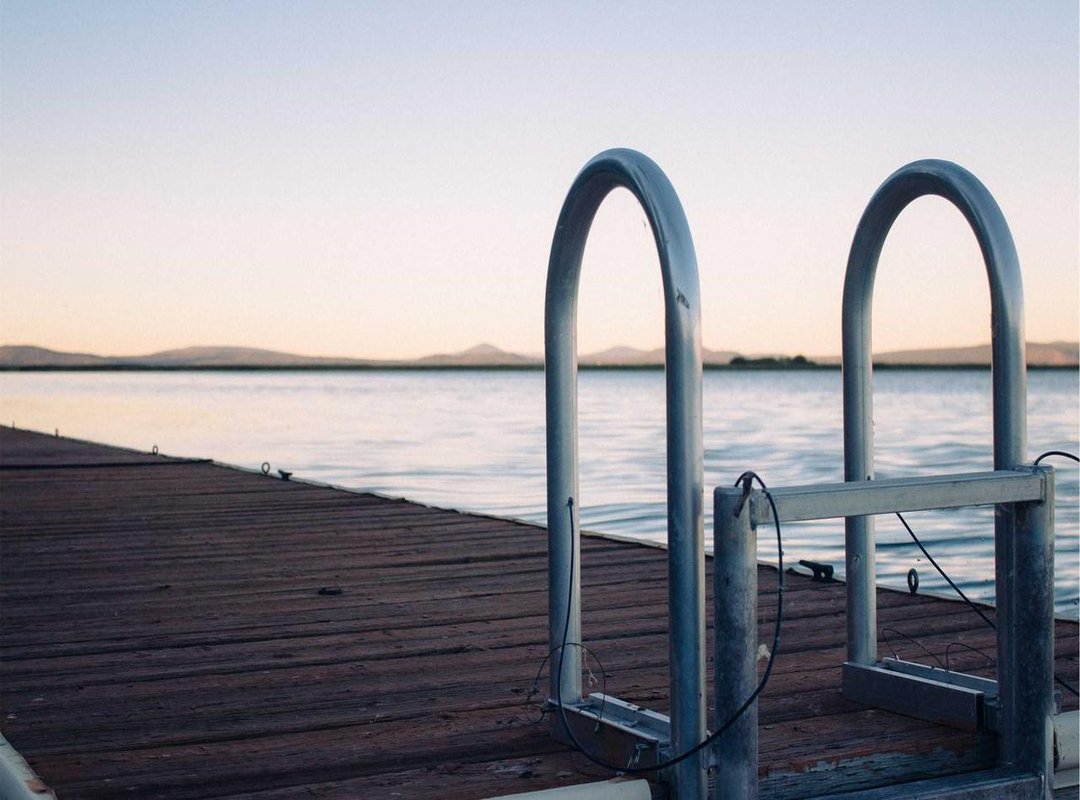 Beyond the Obvious: Fish, Insects, and Spiders