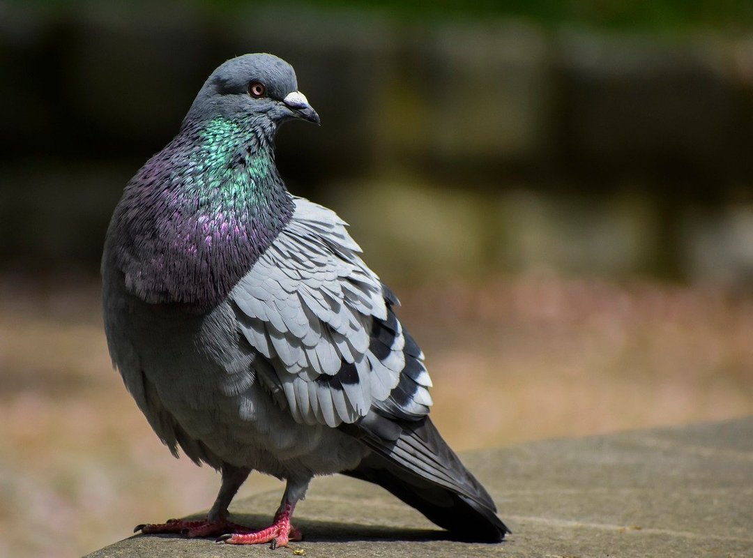 What Sets This Platform Apart from the Rest?